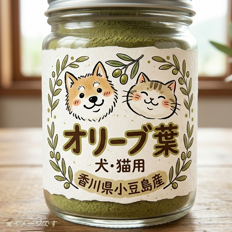 オリーブ葉